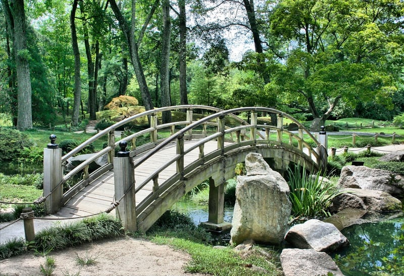 Beautiful garden