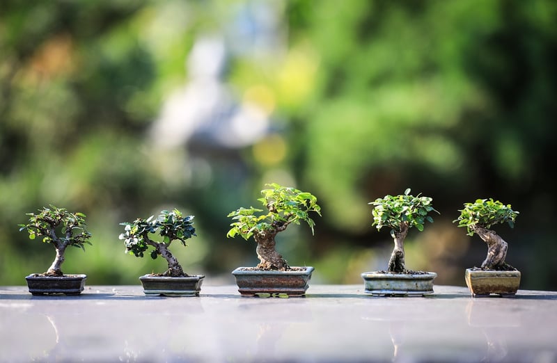 Zen Fountain